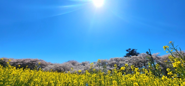 <% 長崎の美容室%>